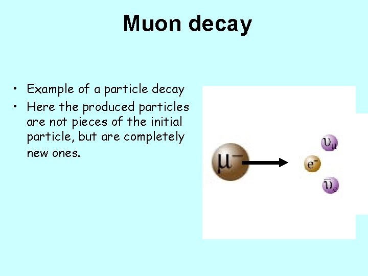 Muon decay • Example of a particle decay • Here the produced particles are
