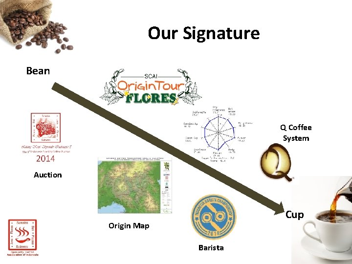 Our Signature Bean Q Coffee System Auction Cup Origin Map Barista 