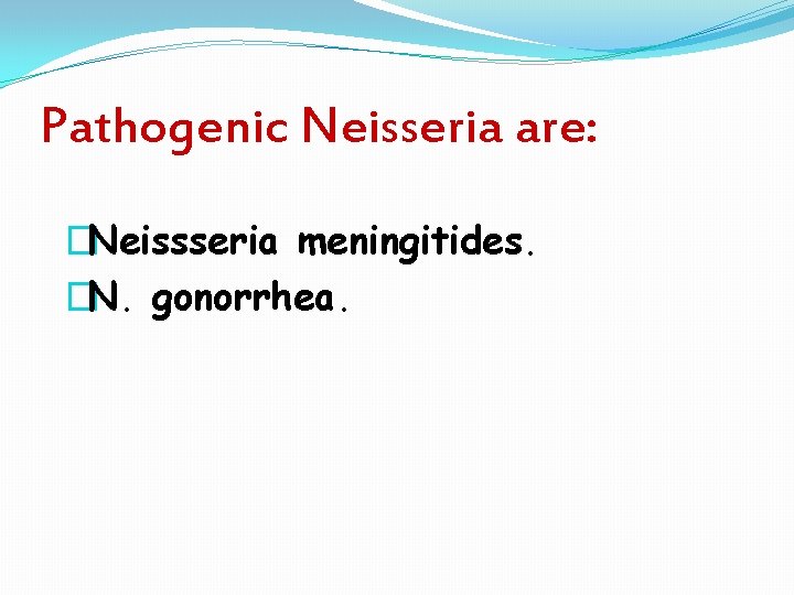 Pathogenic Neisseria are: �Neissseria meningitides. �N. gonorrhea. 
