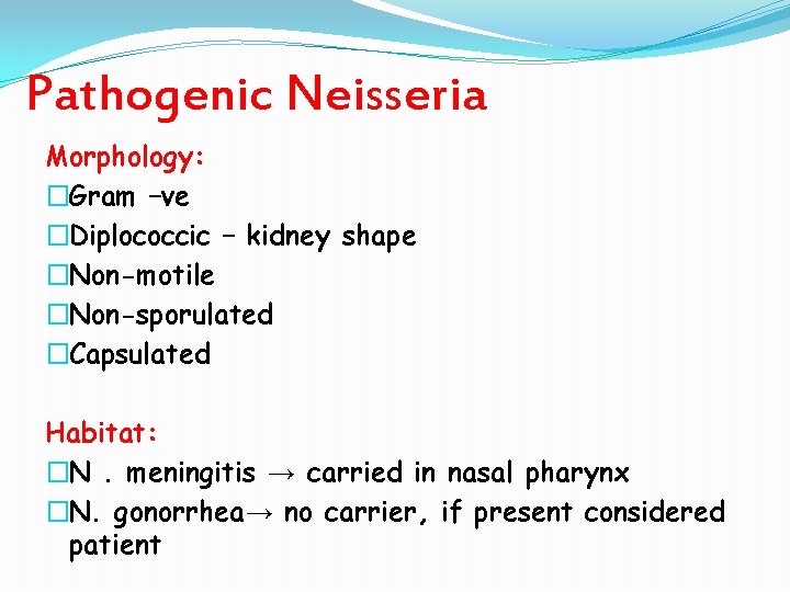 Pathogenic Neisseria Morphology: �Gram –ve �Diplococcic – kidney shape �Non-motile �Non-sporulated �Capsulated Habitat: �N.