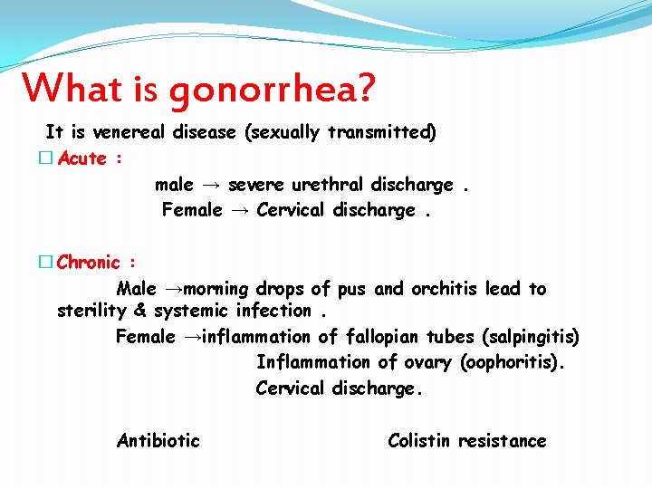 What is gonorrhea? It is venereal disease (sexually transmitted) � Acute : male →