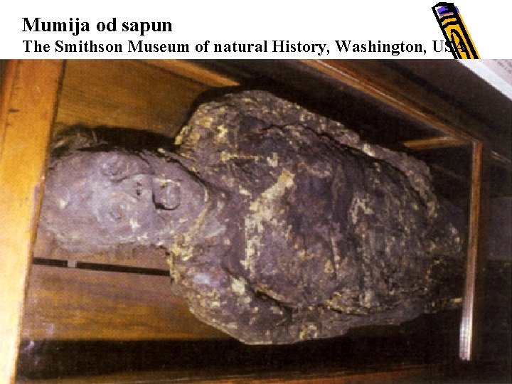 Mumija od sapun The Smithson Museum of natural History, Washington, USA 