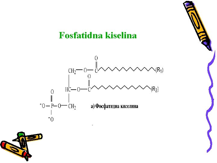 Fosfatidna kiselina 