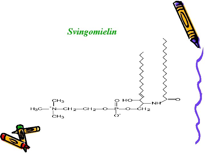 Svingomielin 