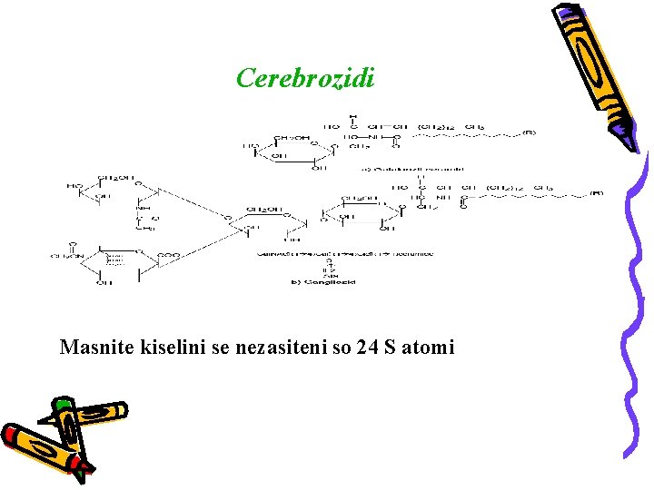 Cerebrozidi Masnite kiselini se nezasiteni so 24 S atomi 