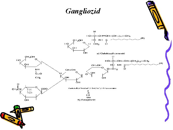 Gangliozid 