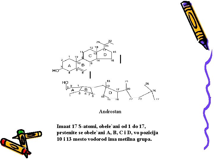 Androstan Imaat 17 S-atomi, obele`ani od 1 do 17, prstenite se obele`ani A, B,