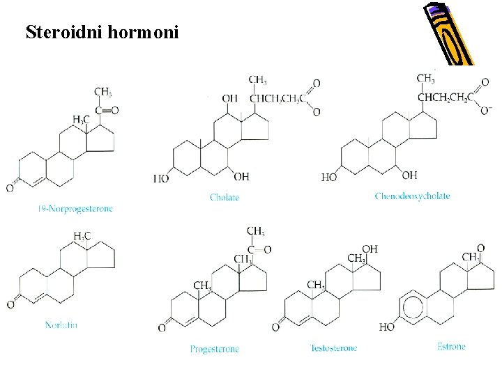 Steroidni hormoni 