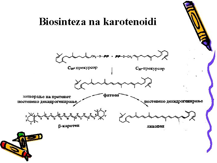 Biosinteza na karotenoidi 