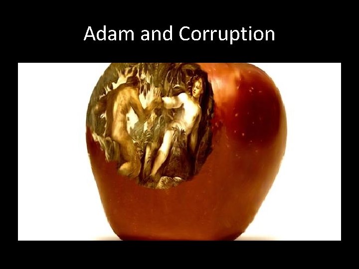 Adam and Corruption 