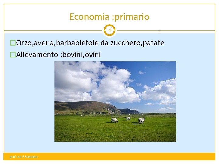 Economia : primario 4 �Orzo, avena, barbabietole da zucchero, patate �Allevamento : bovini, ovini