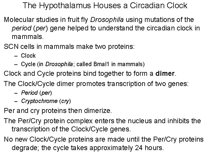 The Hypothalamus Houses a Circadian Clock Molecular studies in fruit fly Drosophila using mutations