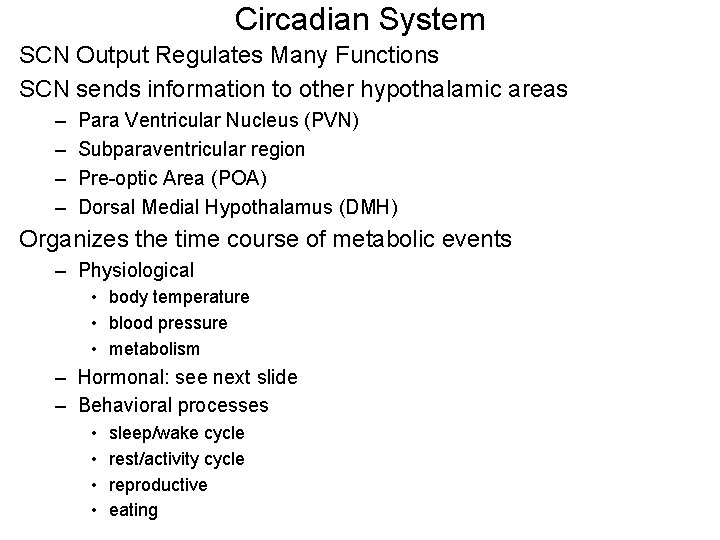 Circadian System SCN Output Regulates Many Functions SCN sends information to other hypothalamic areas