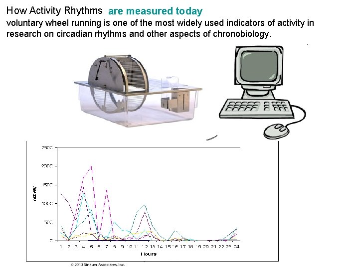 How Activity Rhythms Where Measured A Long Time Ago are measured today voluntary wheel