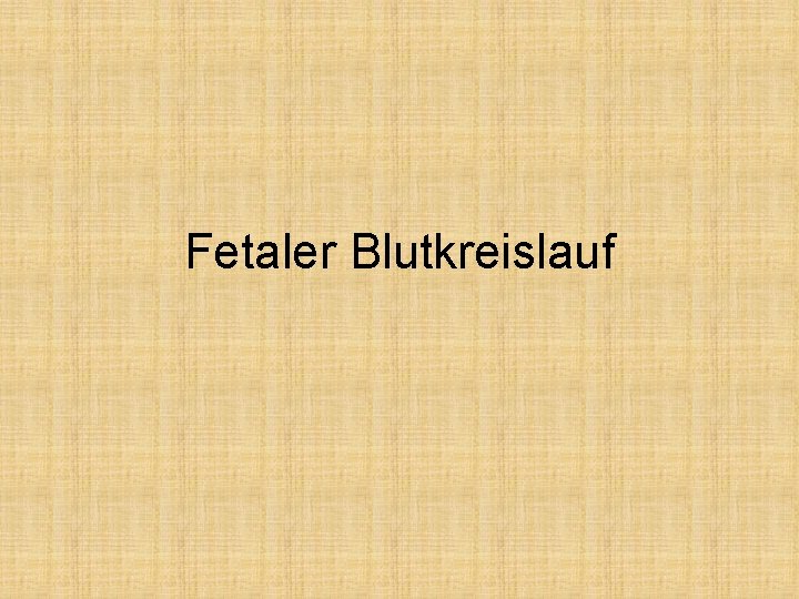 Fetaler Blutkreislauf 