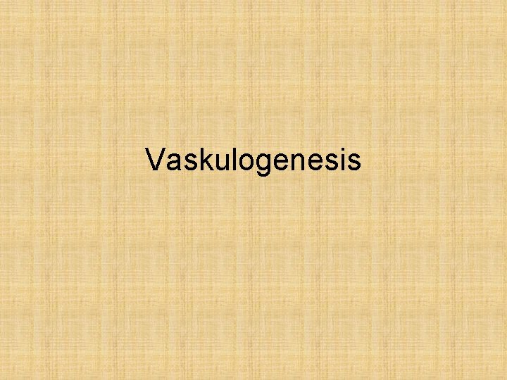 Vaskulogenesis 