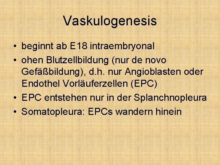 Vaskulogenesis • beginnt ab E 18 intraembryonal • ohen Blutzellbildung (nur de novo Gefäßbildung),