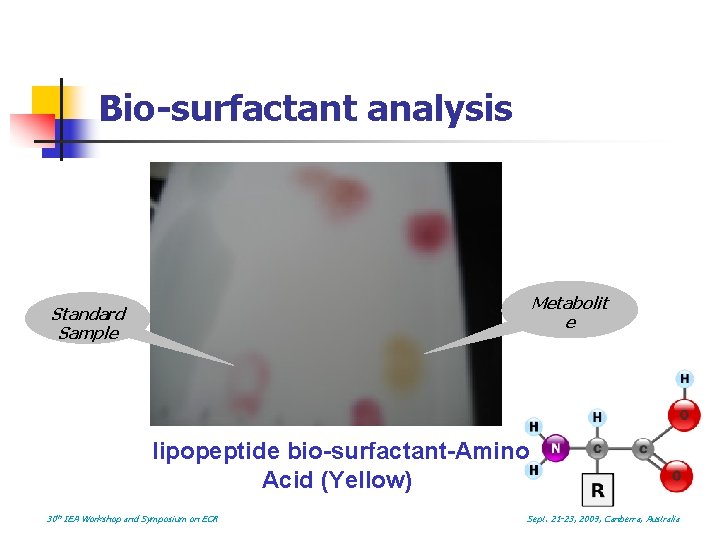 Bio-surfactant analysis Metabolit e Standard Sample lipopeptide bio-surfactant-Amino Acid (Yellow) 30 th IEA Workshop