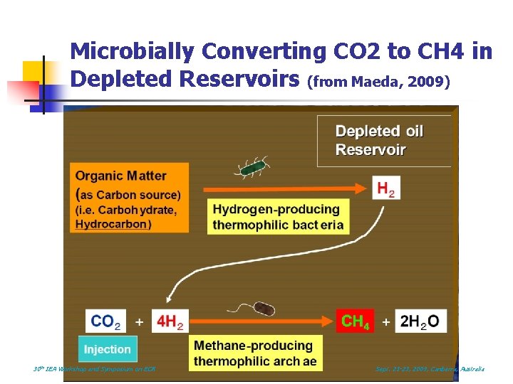 Microbially Converting CO 2 to CH 4 in Depleted Reservoirs (from Maeda, 2009) 30