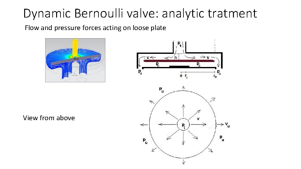 Dynamic Bernoulli valve: analytic tratment Flow and pressure forces acting on loose plate View