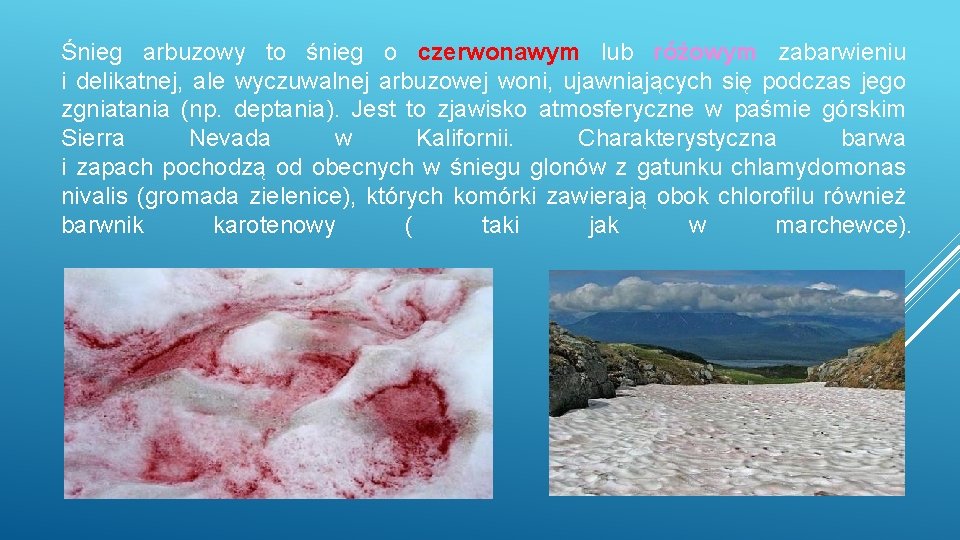 Śnieg arbuzowy to śnieg o czerwonawym lub różowym zabarwieniu i delikatnej, ale wyczuwalnej arbuzowej