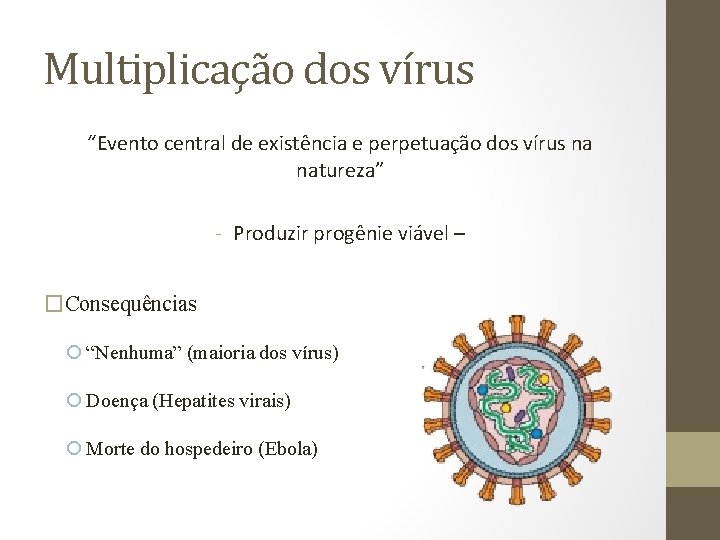 Multiplicação dos vírus “Evento central de existência e perpetuação dos vírus na natureza” -