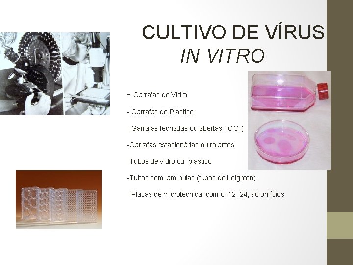CULTIVO DE VÍRUS IN VITRO - Garrafas de Vidro - Garrafas de Plástico -