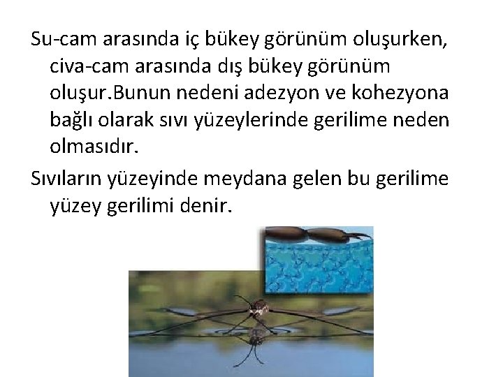 Su-cam arasında iç bükey görünüm oluşurken, civa-cam arasında dış bükey görünüm oluşur. Bunun nedeni