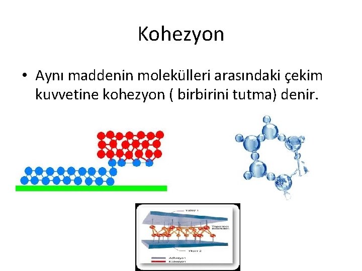 Kohezyon • Aynı maddenin molekülleri arasındaki çekim kuvvetine kohezyon ( birbirini tutma) denir. 