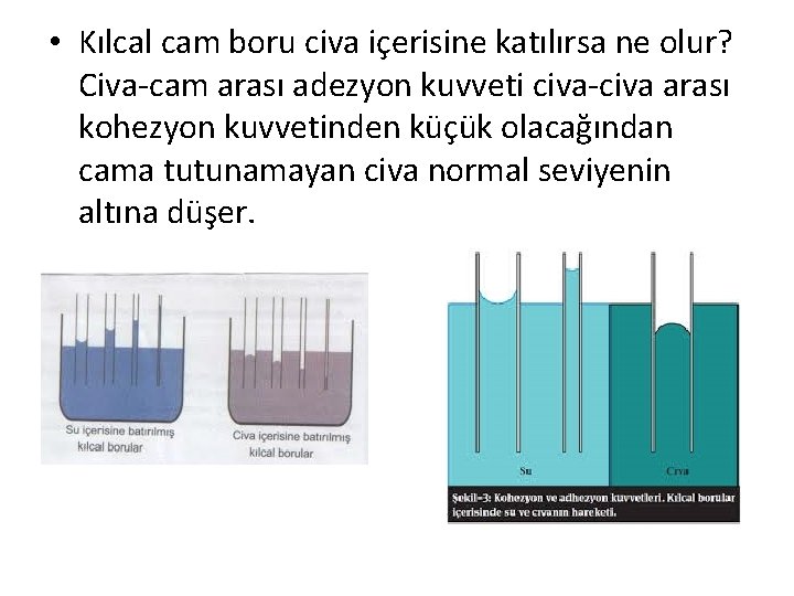  • Kılcal cam boru civa içerisine katılırsa ne olur? Civa-cam arası adezyon kuvveti