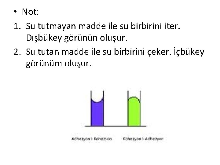  • Not: 1. Su tutmayan madde ile su birbirini iter. Dışbükey görünün oluşur.