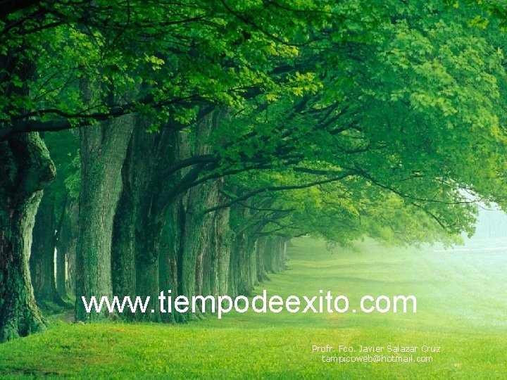 www. tiempodeexito. com Profr. Fco. Javier Salazar Cruz tampicoweb@hotmail. com 