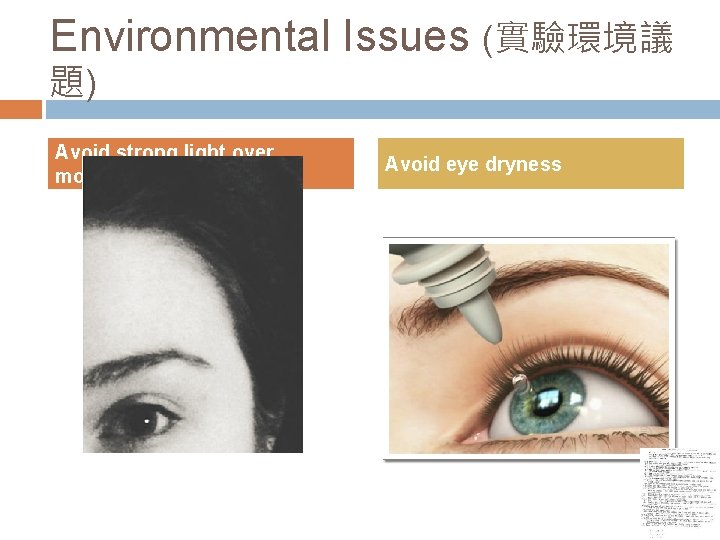 Environmental Issues (實驗環境議 題) Avoid strong light over monitor Avoid eye dryness 