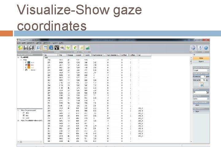 Visualize-Show gaze coordinates 