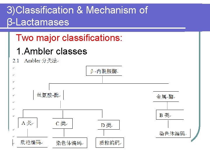 3)Classification & Mechanism of β-Lactamases Two major classifications: 1. Ambler classes 