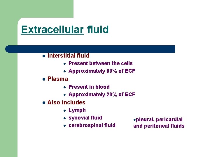 Extracellular fluid l Interstitial fluid l l l Plasma l l l Present between