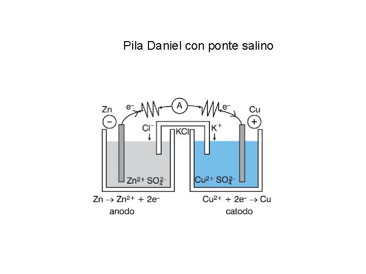Pila Daniel con ponte salino 