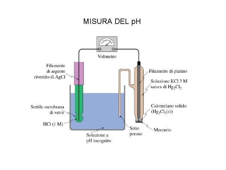 MISURA DEL p. H 