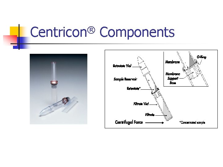 Centricon® Components 