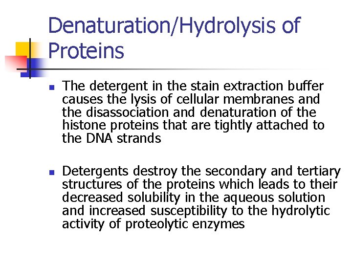 Denaturation/Hydrolysis of Proteins n n The detergent in the stain extraction buffer causes the