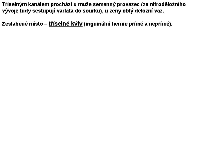 Tříselným kanálem prochází u muže semenný provazec (za nitroděložního vývoje tudy sestupují varlata do