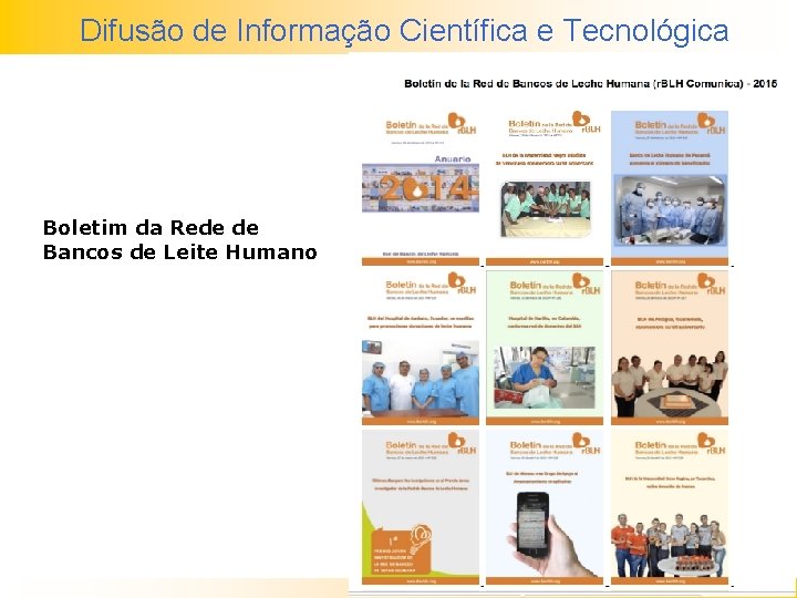 Difusão de Informação Científica e Tecnológica Boletim da Rede de Bancos de Leite Humano