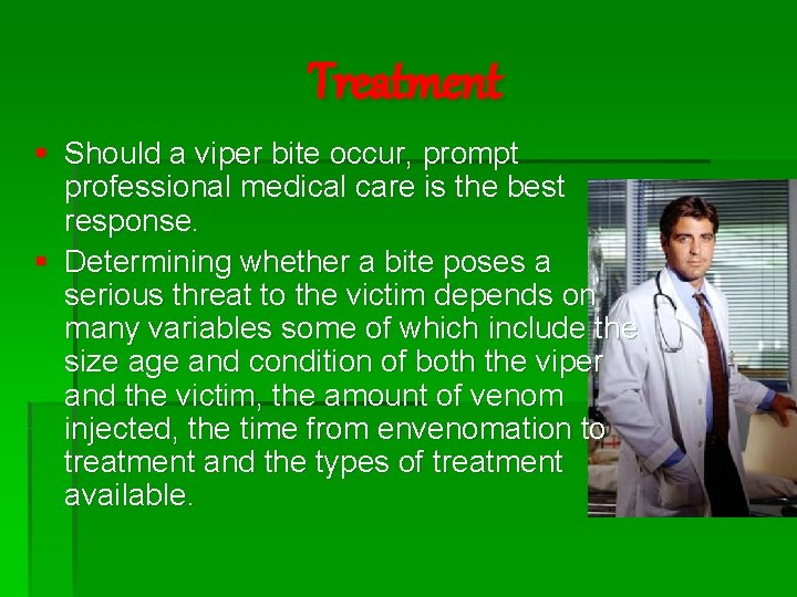 Treatment § Should a viper bite occur, prompt professional medical care is the best