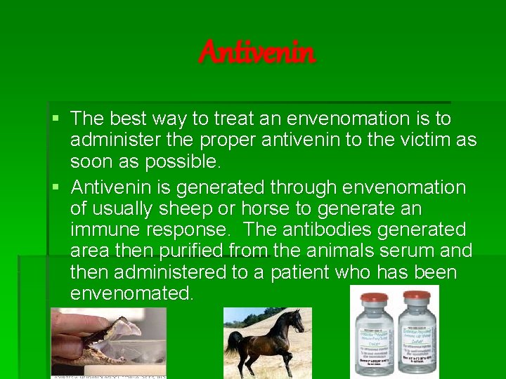 Antivenin § The best way to treat an envenomation is to administer the proper