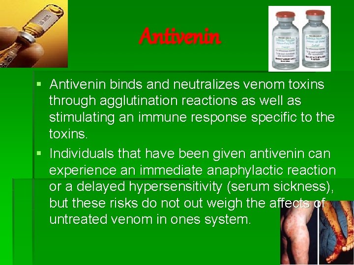 Antivenin § Antivenin binds and neutralizes venom toxins through agglutination reactions as well as
