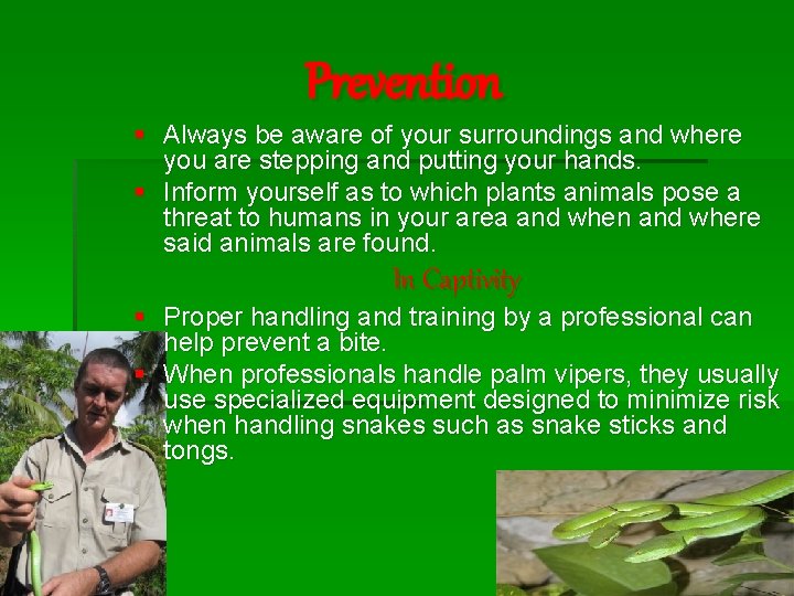 Prevention § Always be aware of your surroundings and where you are stepping and