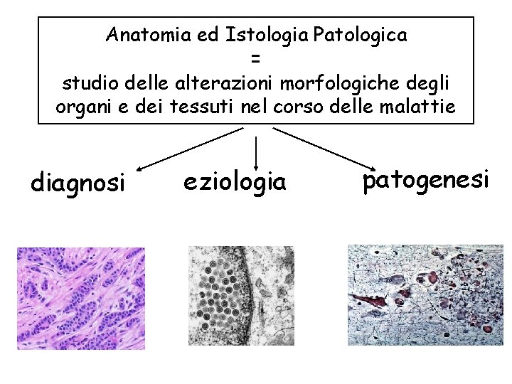 Anatomia ed Istologia Patologica = studio delle alterazioni morfologiche degli organi e dei tessuti