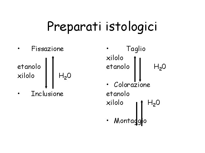 Preparati istologici • Fissazione etanolo xilolo • H 20 Inclusione • Taglio xilolo etanolo