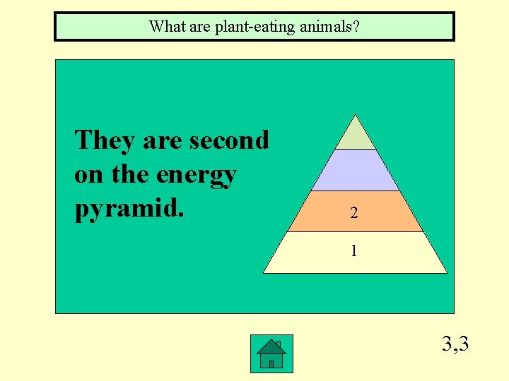 What are plant-eating animals? They are second on the energy pyramid. 2 11 3,