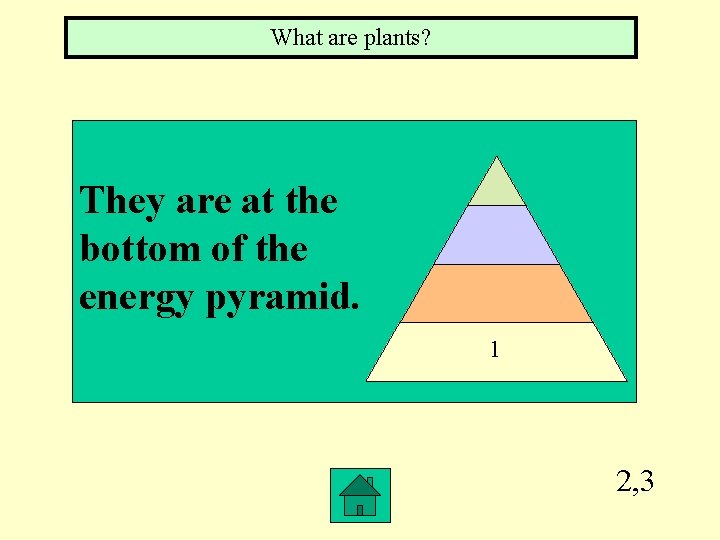 What are plants? They are at the bottom of the energy pyramid. 1 2,